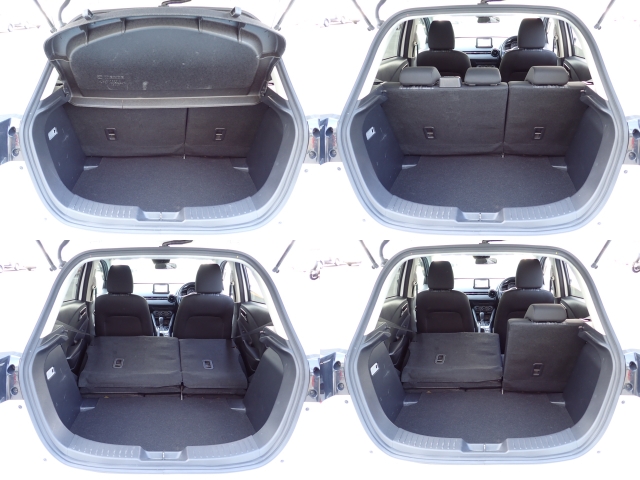 �㕔���Ȕw������͕������Ă���̂ŁA�ʁX�ɓ|�������\�ł���ו��̗ʂɉ����ăA�����W�o����̂ŁA�������ł��ˁI