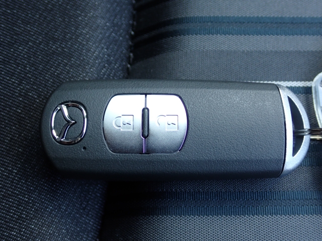 ���L�[���X�G���g���[���h�A���b�N�J���y�X�ł��I�������ꂽ�ꏊ����̑�����\�ł���