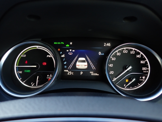 ���[�^�[�p�l�����m�肽����񂪈�ڗđR�ł��ˁB