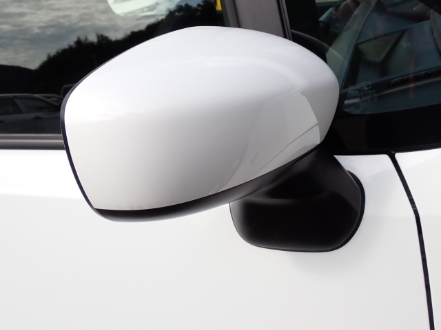 �I���b�N�X�F�蒆�ÎԂ͑S�ԊӒ菑�t���B�������AIS�̌�����S�ԗ��Ɏ��{��1�䂲�Ƃɕ]���_�̂����F�菑�̔��s���s���Ă���܂��B