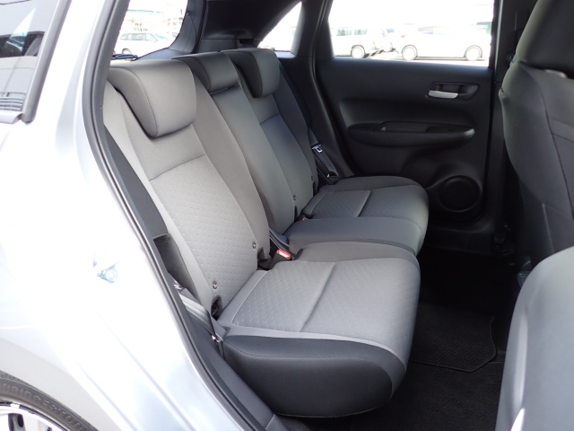 �㕔���Ȃ��傫�ȎC����Ȃ���ԗǍD�ł��B