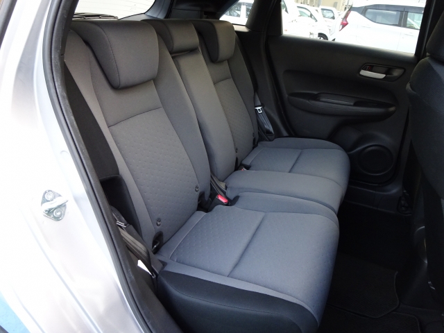 �㕔���Ȃ��傫�ȎC����Ȃ���ԗǍD�ł��B