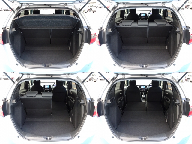 �㕔���Ȕw������͕������Ă���̂ŁA�ʁX�ɓ|�������\�ł���ו��̗ʂɉ����ăA�����W�o����̂ŁA�������ł��ˁI