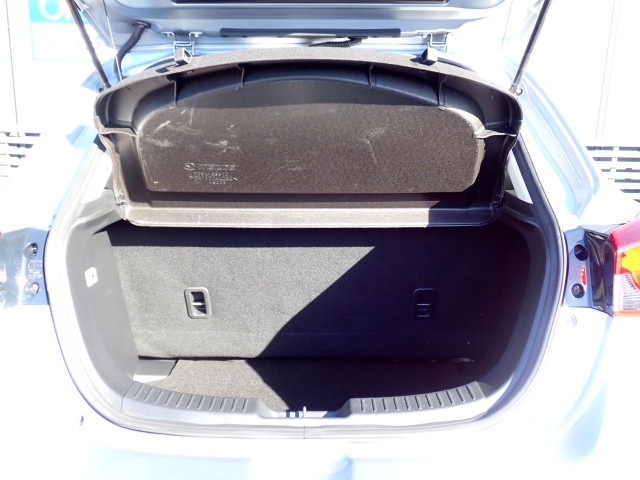 �ʏ펞�̃��P�b�W�X�y�[�X�ł��I�傫�ȊJ���ŉו��̏悹�~�낵���y�ɍs���܂��B