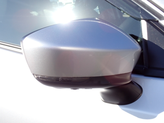 �I���b�N�X�F�蒆�ÎԂ͑S�ԊӒ菑�t���B�������AIS�̌�����S�ԗ��Ɏ��{��1�䂲�Ƃɕ]���_�̂����F�菑�̔��s���s���Ă���܂��B