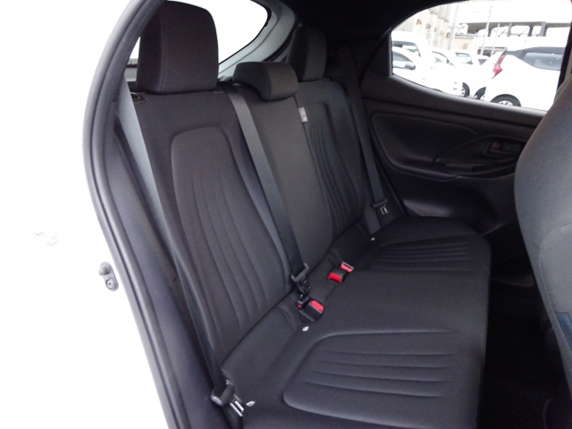 �㕔���Ȃ��傫�ȎC����Ȃ���ԗǍD�ł��B