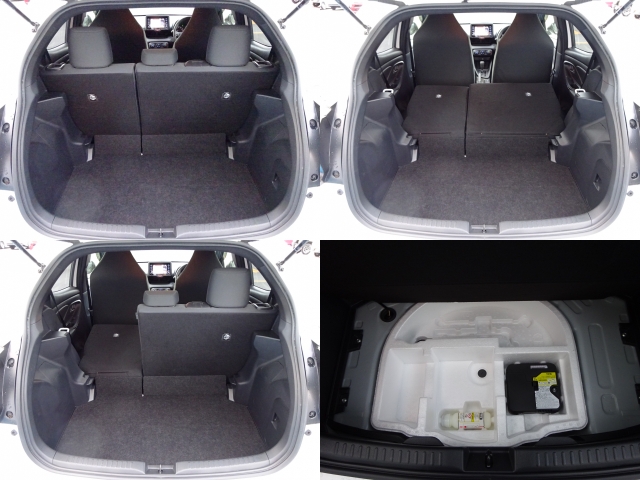 �㕔���Ȕw������͕������Ă���̂ŁA�ʁX�ɓ|�������\�ł���ו��̗ʂɉ����ăA�����W�o����̂ŁA�������ł��ˁI