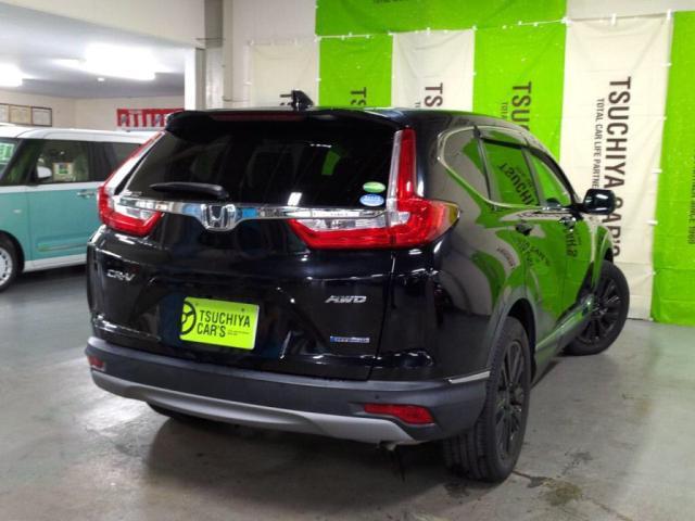 �d�����̂���{�f�B�̓^�t���ƃG���K���g��▭�ɕ\������Ă��܂��B