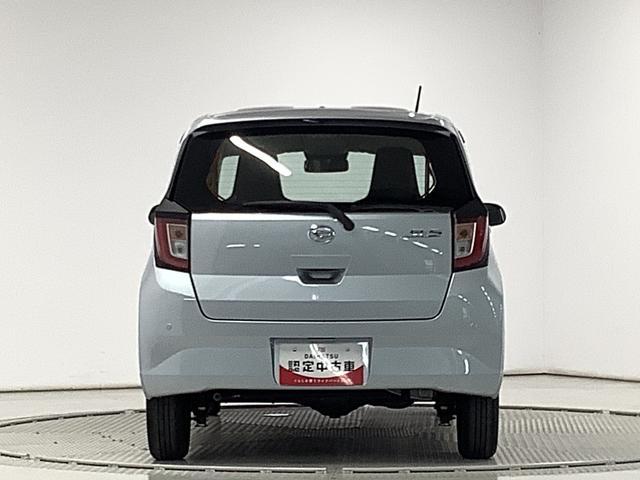 �y�ی��̑����z���Ƀ_�C�n�c�͎Ԃ̃v�������ł͂������܂���I���q���܂ɍœK�ȕی�������Ă����Ă��������܂��B�R�N�ԕی��������u���̕ی����I�X�X���ł��I���񂨎ԂƂ��ꏏ�ɕی��̂����ς���������ł��傤���H