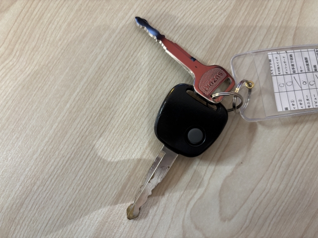 ���ꂽ�ꏊ����h�A�̎{���E�J�����\�ȃL�[���X�G���g���[�𑕔����Ă���܂��B�J�̓������S�ł��B