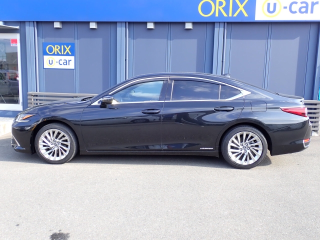 �����������݌Ɋm�F�̂��d�b����TEL0120-002710�I�݂Ȃ��܂���̂��⍇�����҂����Ă���܂�����