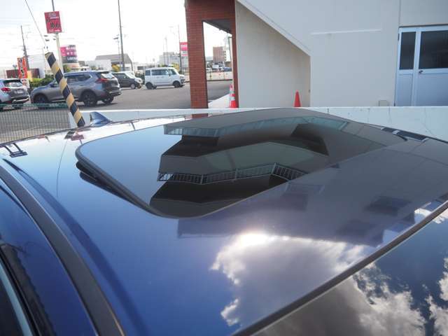 �T�����[�t�t���I���C��̌��͂������A��