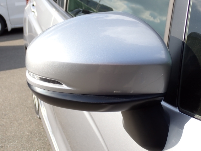 �I���b�N�X�F�蒆�ÎԂ͑S�ԊӒ菑�t���B�������AIS�̌�����S�ԗ��Ɏ��{��1�䂲�Ƃɕ]���_�̂����F�菑�̔��s���s���Ă���܂��B