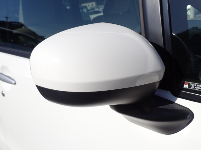 �I���b�N�X�F�蒆�ÎԂ͑S�ԊӒ菑�t���B�������AIS�̌�����S�ԗ��Ɏ��{��1�䂲�Ƃɕ]���_�̂����F�菑�̔��s���s���Ă���܂��B