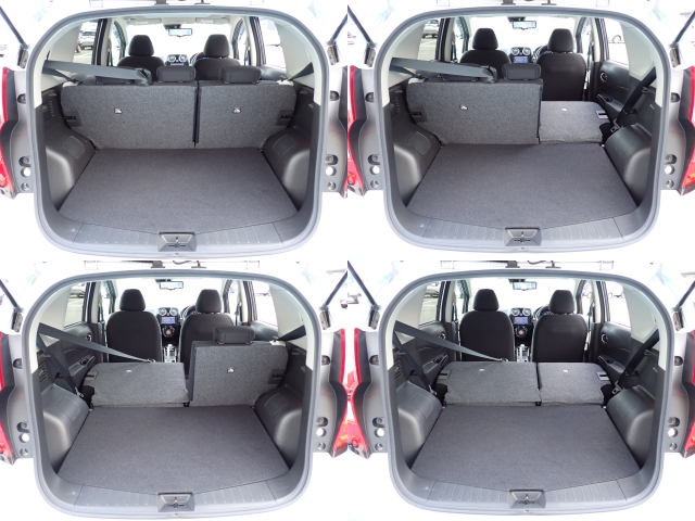 �㕔���Ȕw������͕������Ă���̂ŁA�ʁX�ɓ|�������\�ł���ו��̗ʂɉ����ăA�����W�o����̂ŁA�������ł��ˁI