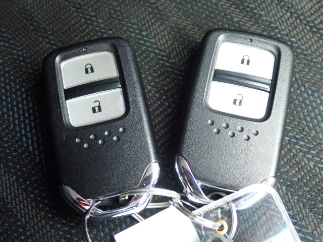 �X�}�[�g�L�[�����I�L�[���|�P�b�g��o�b�O�ɓ��ꂽ�܂܁A�h�A���b�N�̊J���E�{���E�G���W���n�����\�ł��B