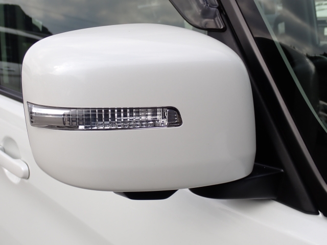 �I���b�N�X�F�蒆�ÎԂ͑S�ԊӒ菑�t���B�������AIS�̌�����S�ԗ��Ɏ��{��1�䂲�Ƃɕ]���_�̂����F�菑�̔��s���s���Ă���܂��B