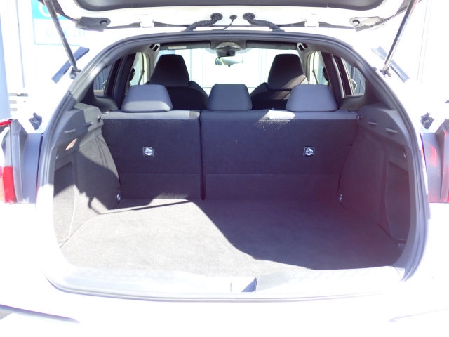 �ʏ펞�̃��P�b�W�X�y�[�X�ł��I�傫�ȊJ���ŉו��̏悹�~�낵���y�ɍs���܂��B