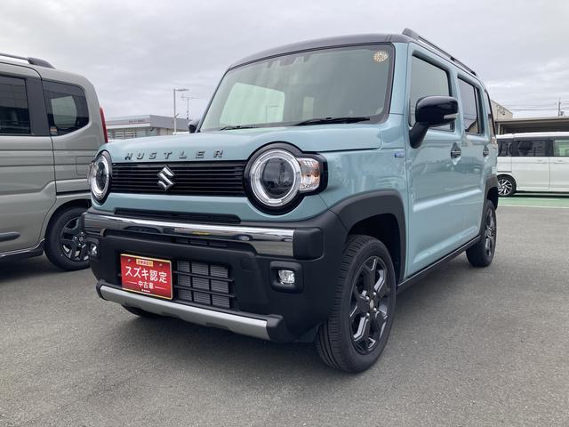 ハスラー(スズキ) タフワイルド　３型 中古車画像