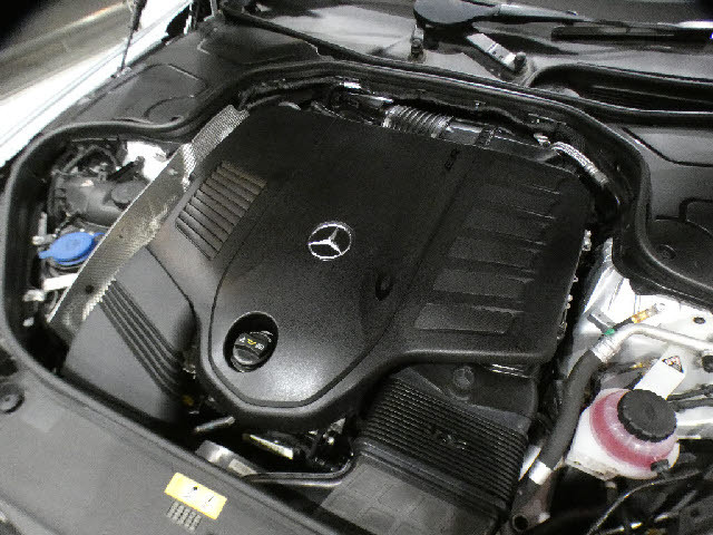 ���h���X�A�b�v���܂߁A�p�[�c�̂����k������܂��I�I���ǂ��J�[���C�t�������蒸���ׂɂ���`���������Ē����܂��B