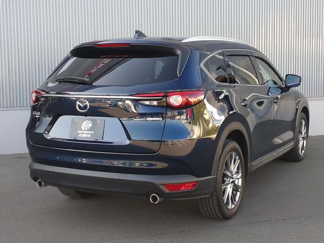 �I�[�g�o�b�N�X�E�J�[�Y�̓J�[�p�i�ł����