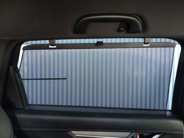 �N���}�w���Ɠ����Ɏ��t�������J�[�p�i��