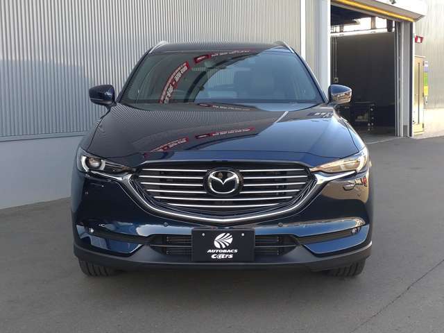 �ۏؐ��x���[���B�R�����R��L���܂ł̊�{