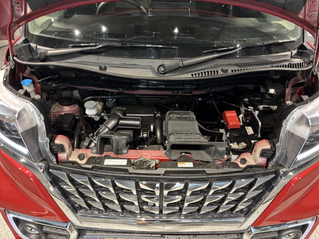 �����S�̃I���b�N�X�F�蒆�ÎԂ́A�S�ԁw�C���𖳂��x���S�ԔF�菑�t���I�I���M�������Ă����߂ł���F�蒆�ÎԂ𐥔�䗗������������