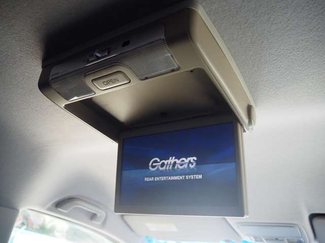 �P�P�C���`������ȃ��j�^�[���ځI��Ȃ̕�