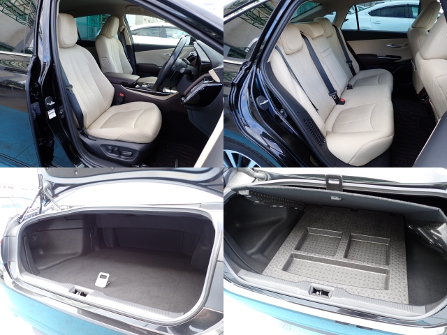 �^�]�ȋy�я���ȑ傫�ȎC����Ȃ���ԗǍD�ł��B