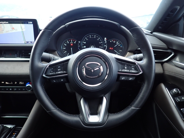 �I���b�N�X�F�蒆�ÎԂ͌��I�����㎿�Ȏ��q�݂̂����͂��v���܂��B�S�ԂɃv���̐E�l�ɂ��O�ꂵ�����O���̐��|�A�����グ�Ă���܂��B