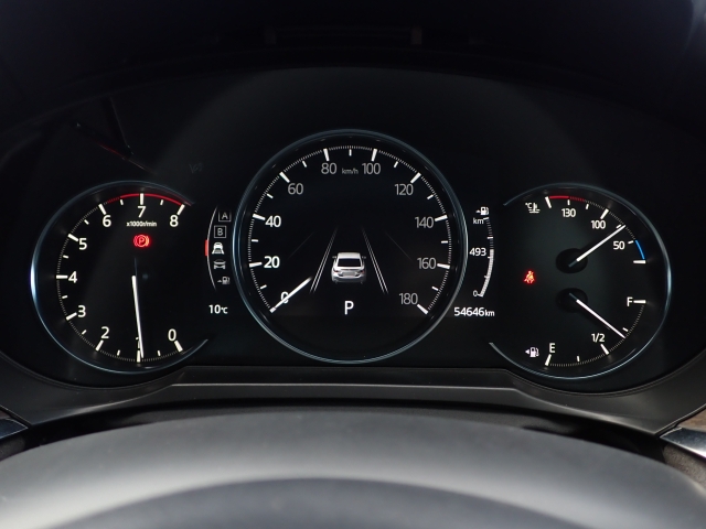 ���[�^�[�p�l�����m�肽����񂪈�ڗđR�ł��ˁB