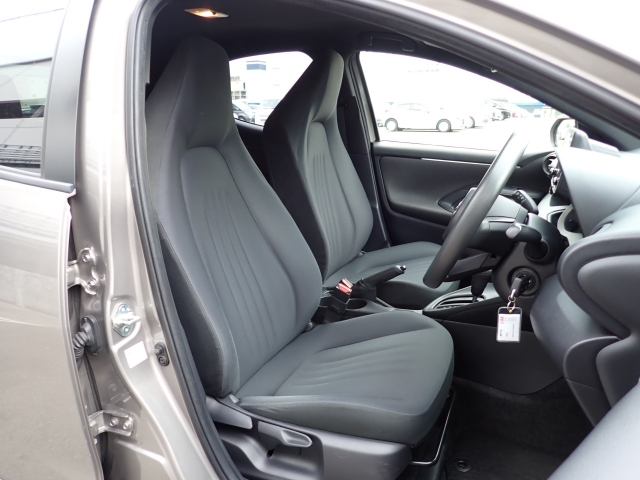 �^�]�Ȃ��傫�ȎC����Ȃ���ԗǍD�ł��B