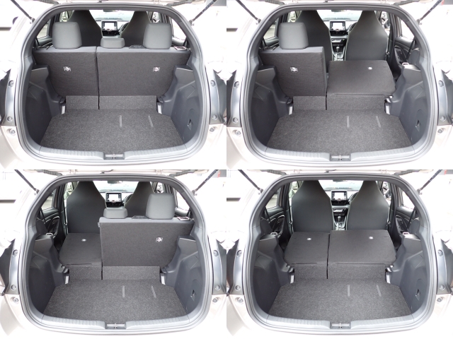 �㕔���Ȕw������͕������Ă���̂ŁA�ʁX�ɓ|�������\�ł���ו��̗ʂɉ����ăA�����W�o����̂ŁA�������ł��ˁI