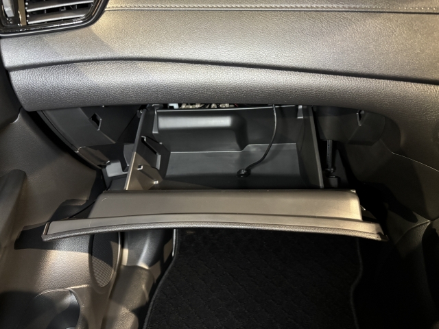 ��e�ʂ̃O���[�u�{�b�N�X��A��������Ȃǂ̎��[���[�����Ă��܂��B