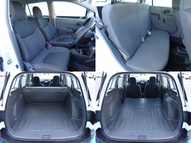 �^�]�ȁA����Ȃ��傫�ȎC����Ȃ���ԗǍD�ł��B