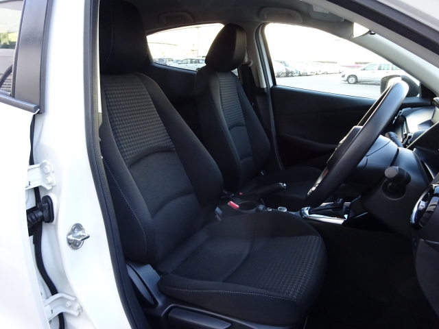 �^�]�Ȃ��傫�ȎC����Ȃ���ԗǍD�ł��B