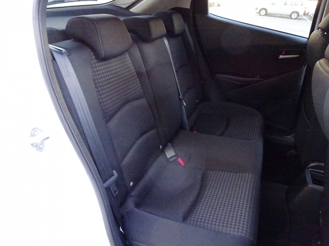 �㕔���Ȃ��傫�ȎC����Ȃ���ԗǍD�ł��B