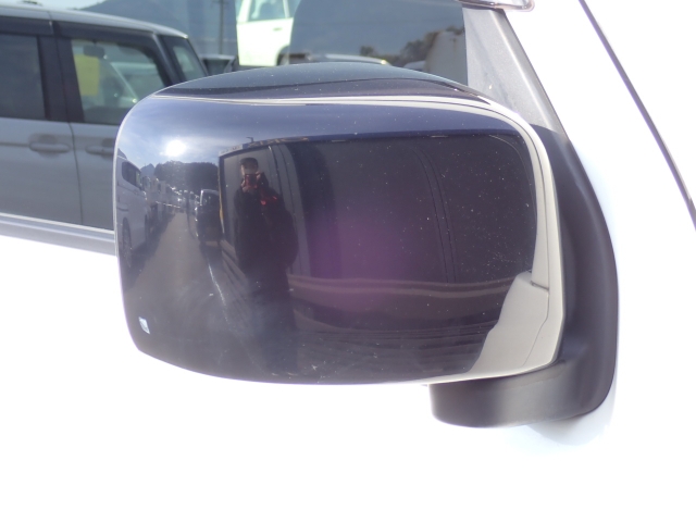 �I���b�N�X�F�蒆�ÎԂ͑S�ԊӒ菑�t���B�������AIS�̌�����S�ԗ��Ɏ��{��1�䂲�Ƃɕ]���_�̂����F�菑�̔��s���s���Ă���܂��B