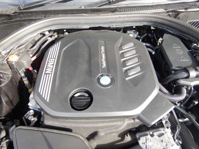 ���S�f�B�[�[��