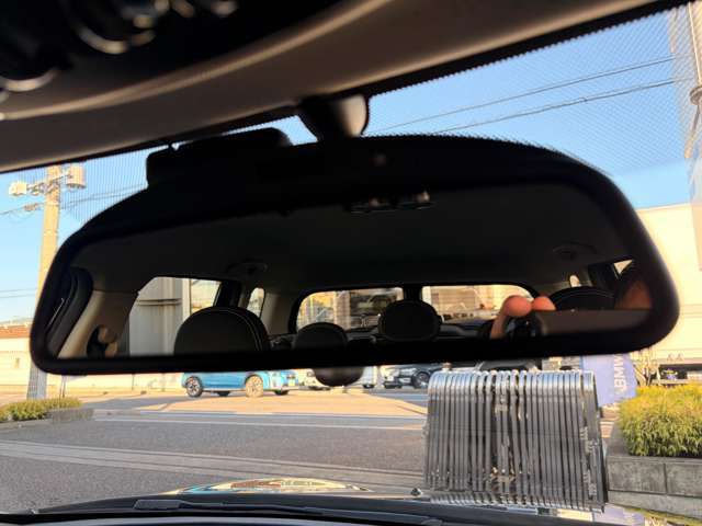 �d�s�b�̓��[���~���[�ƈ�̌^�̂��ߎԍڊ�