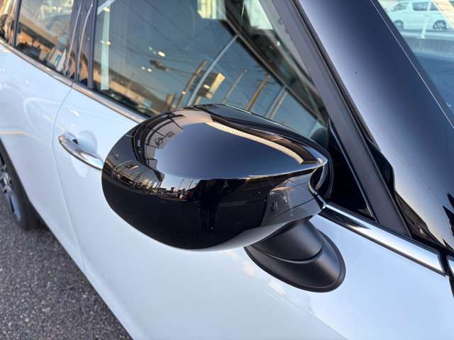 ���[�t�Ɠ����u���b�N�̃~���[�L���b�v�ŃJ