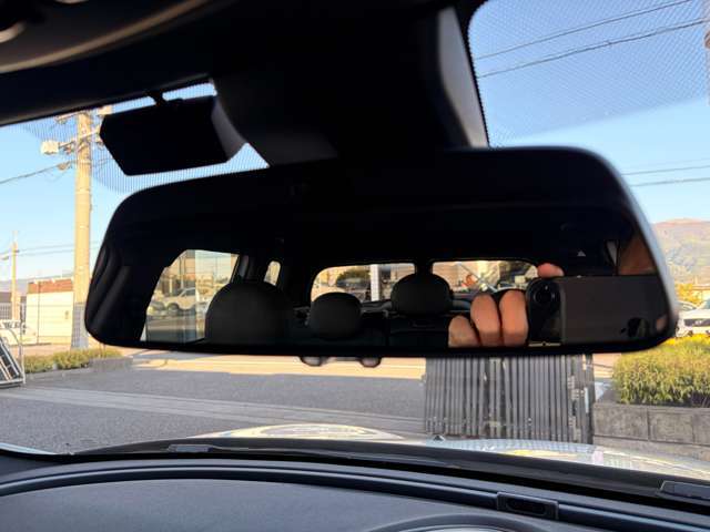 �d�s�b�̓��[���~���[�ƈ�̌^�̂��ߎԍڊ�