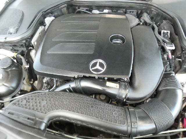 �����ԑт�V����C�ɂ����ɂ��Ԃ����������鉮���t���W��������p�ӁI���f�ڈȊO�̎ʐ^���z�[���y�[�W�Ō��J���I���񂲗��������I���������F�^�^�������D�������|�����������D�������^