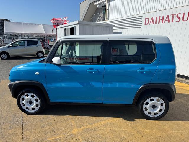 人気のカラー☆