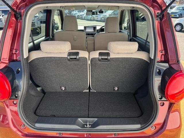 室内クリーニング済