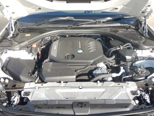 ���S�f�B�[�[��