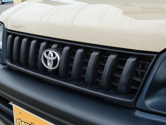 ���撼�̎ԗ��ł���������