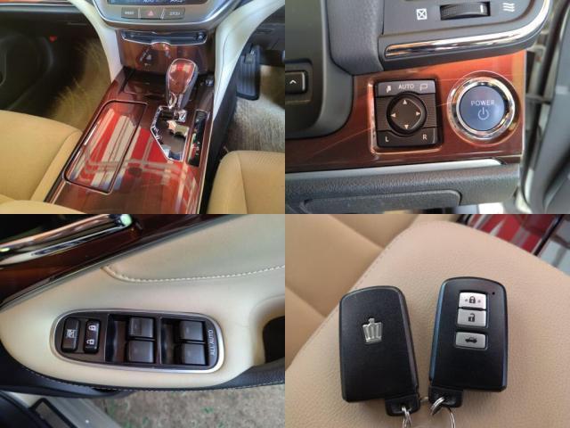 ���Ђł́A�S�ԁw�C�����Ȃ��x�̂��Ԃ̂ݎ�舵���Ă���܂��B��O�ҋ@�ւɂ������ȐR����������Ă�����S���Ē��ÎԂ����w�����������܂��I