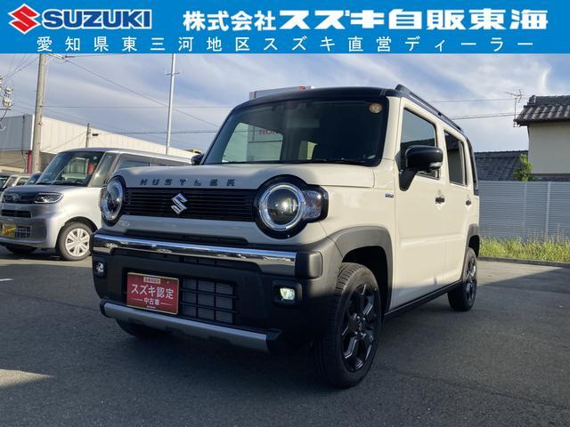 ハスラー(スズキ) タフワイルドターボ　３型 中古車画像
